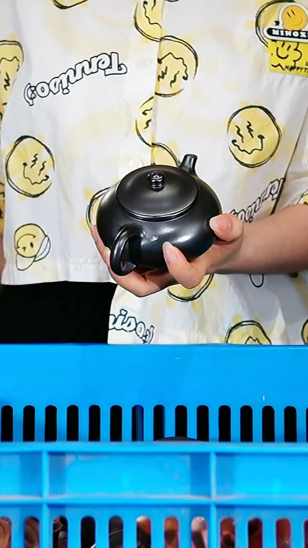 宜兴原矿紫砂壶茶壶180C