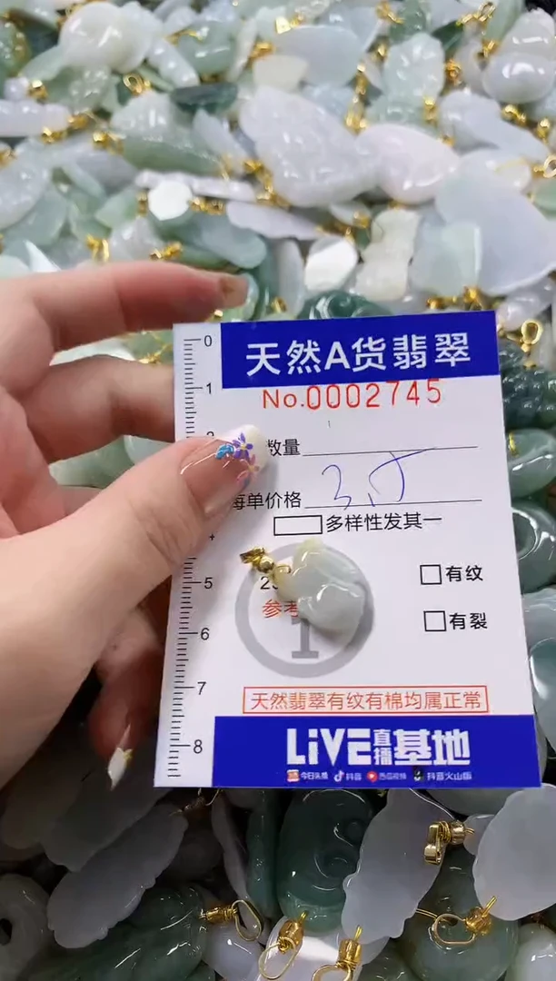 颈饰未镶嵌翡翠天然A货翡翠