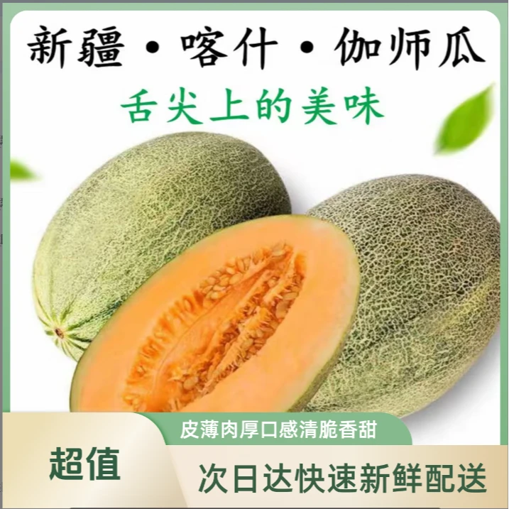 【次日达】正宗新疆伽师瓜伽师县三乡核心产地哈密瓜应季水果新疆维吾尔自治区