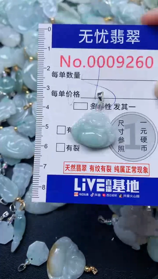 颈饰未镶嵌翡翠9260