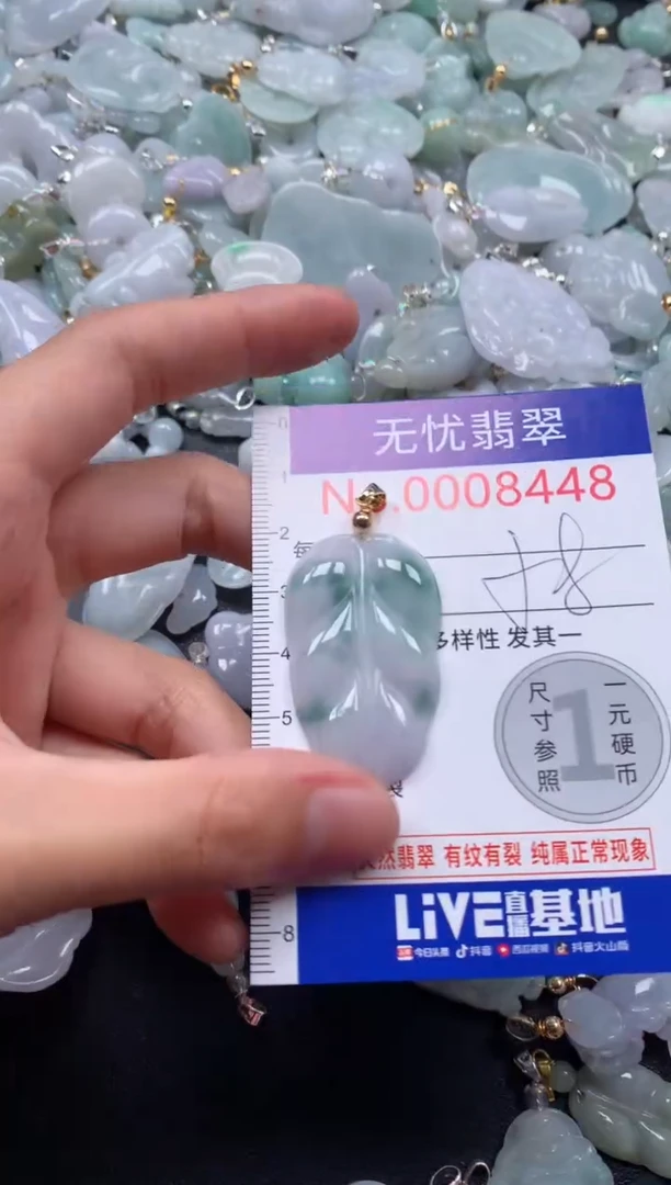 颈饰未镶嵌翡翠8448