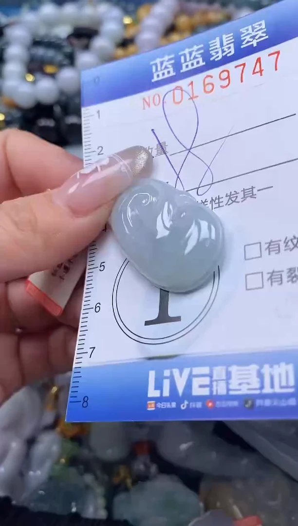 【闪购商品】翡翠颈饰未镶嵌闪购0169747