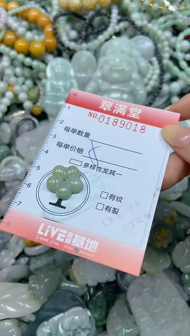 颈饰未镶嵌翡翠闪购0189018