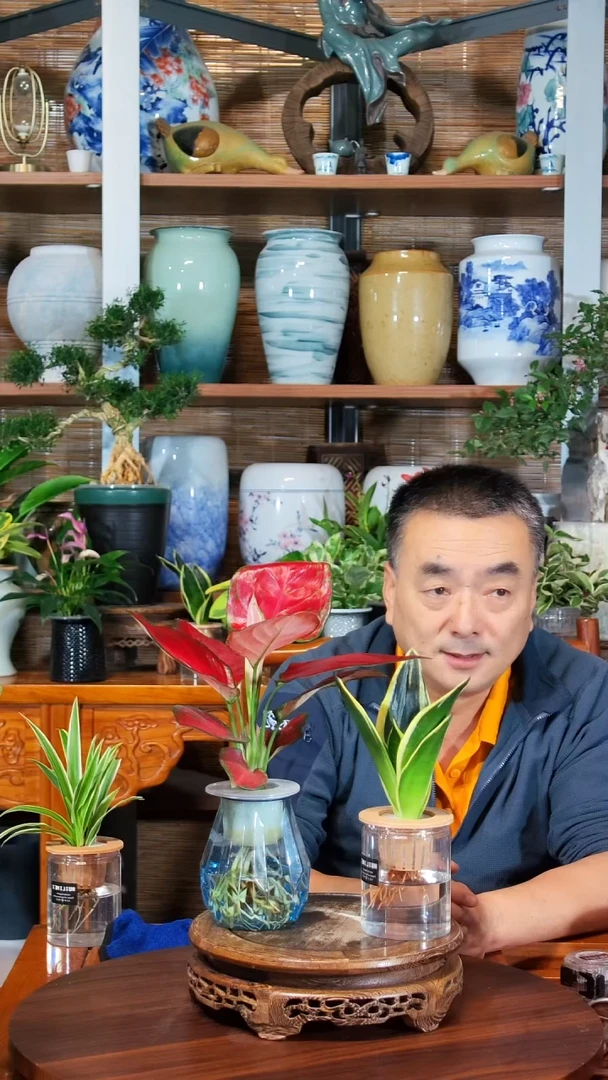 无花朵小*水之韵水培如意+虎皮兰