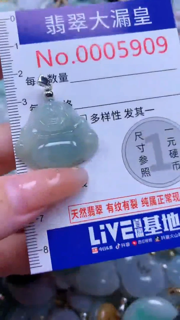 翡翠未镶嵌吊坠(不含链)5909多样性发其一
