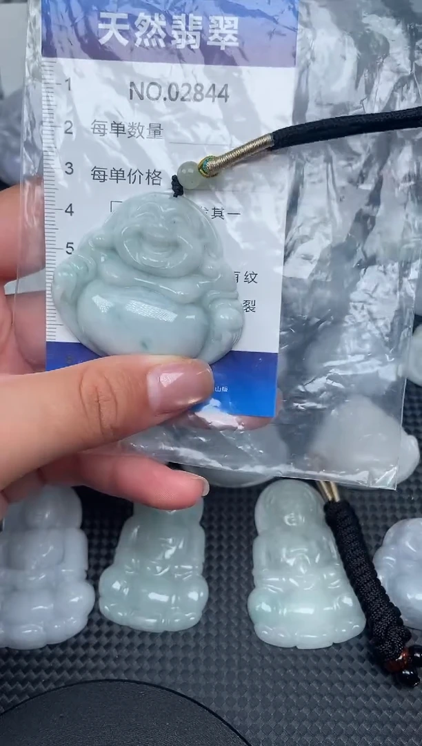 颈饰未镶嵌翡翠纯天然A货翡翠2844