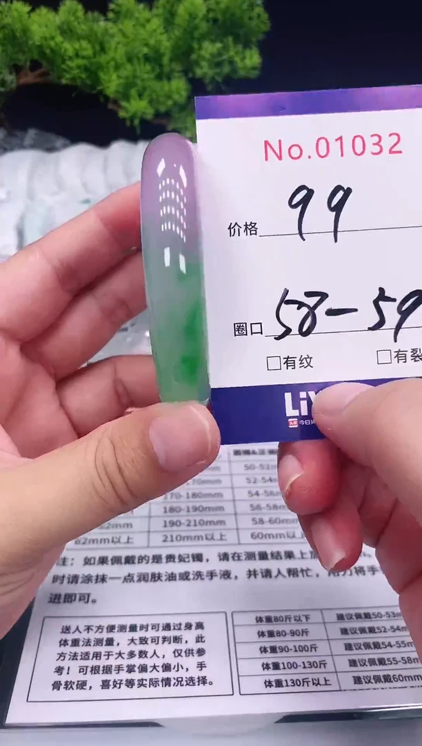 未镶嵌手镯翡翠1032