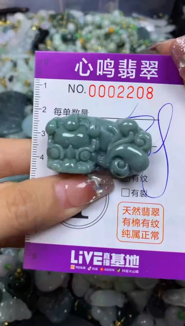 【闪购商品】翡翠颈饰未镶嵌闪购002208