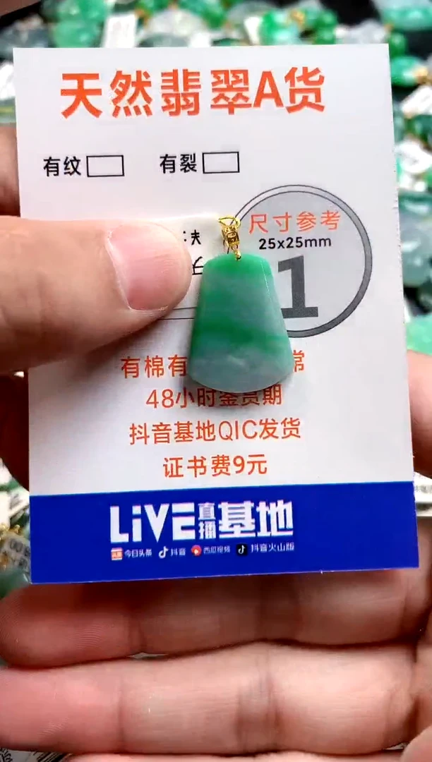 颈饰18K金镶嵌翡翠0919128511