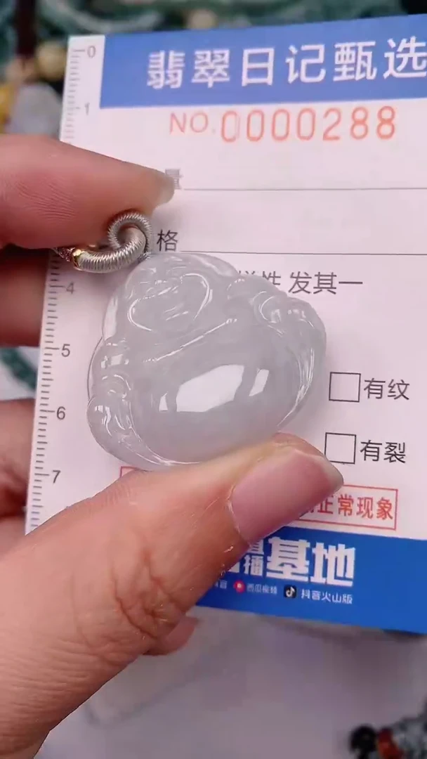【闪购商品】翡翠颈饰未镶嵌00000288