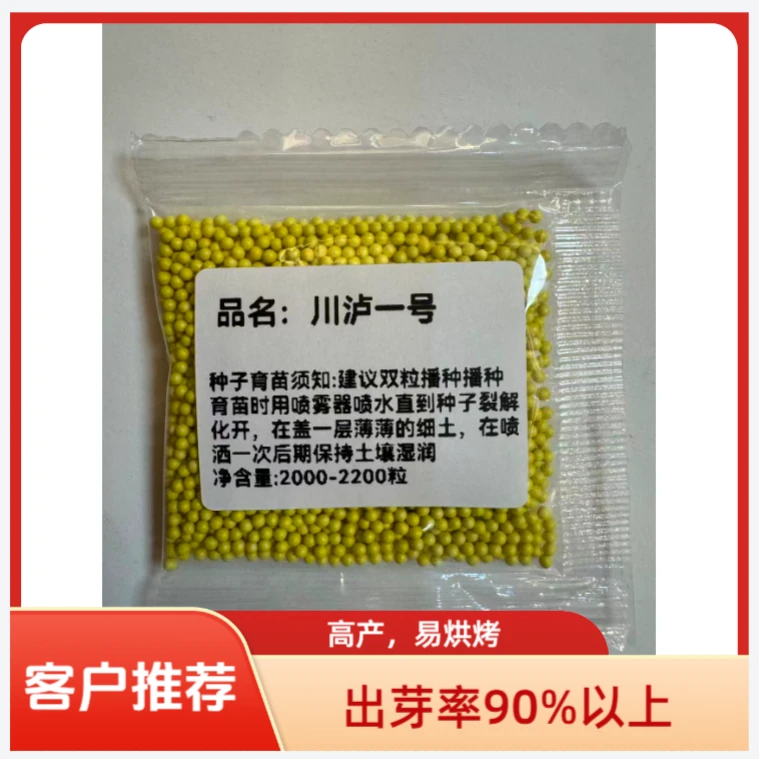 （K）川泸一号包衣颗粒丸适用于云贵川等地高产抗病