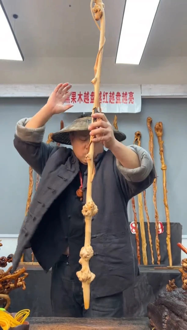 【闪购商品】黑果木其他黑果木097