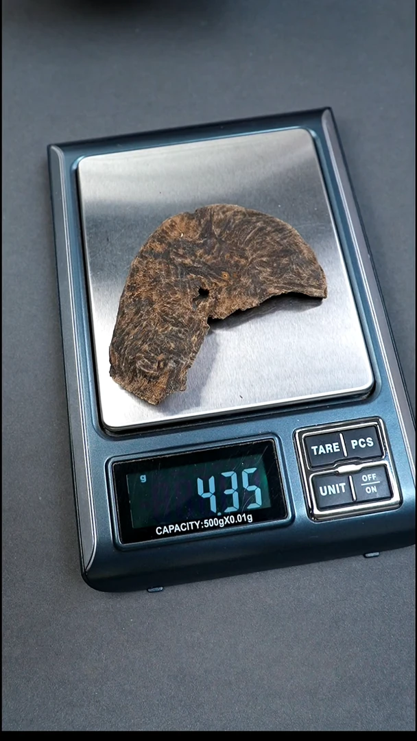 沉香沉香碎屑海南五指山壳子4.36g