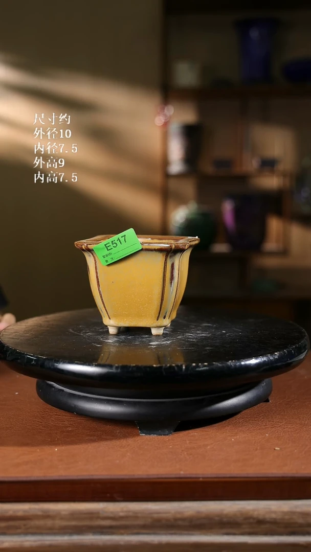 聂角方盆          517
