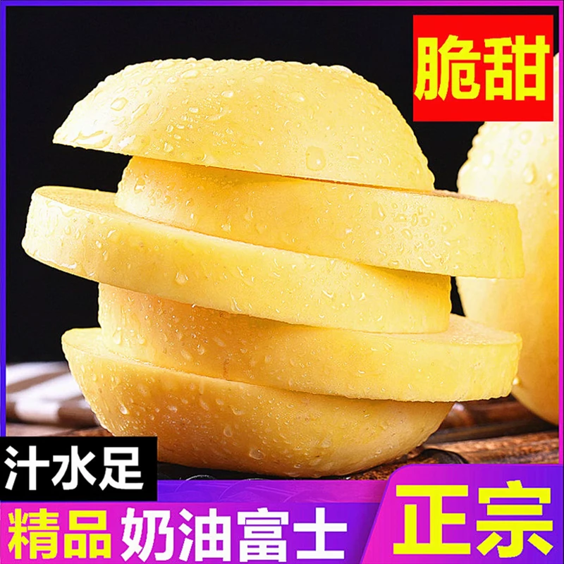 【邮政助农】2025头茬烟台黄金奶油苹果脆甜多汁现摘现发