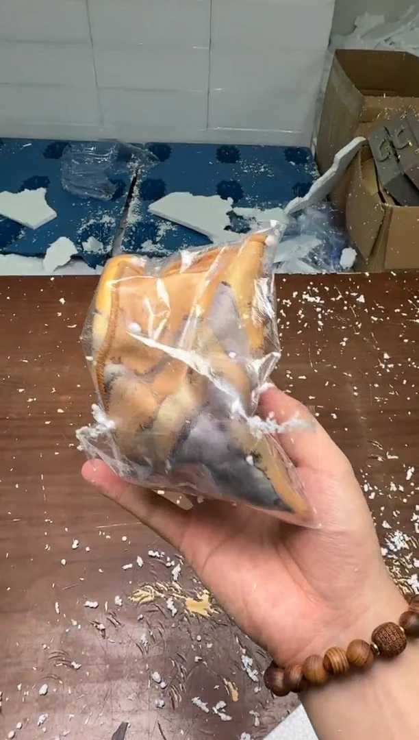 其他@@@@@@@@@@@@@@@@@@