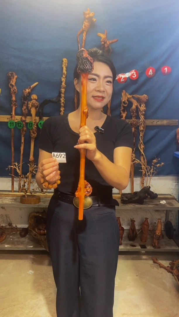 黑果木?****?黑果木A692