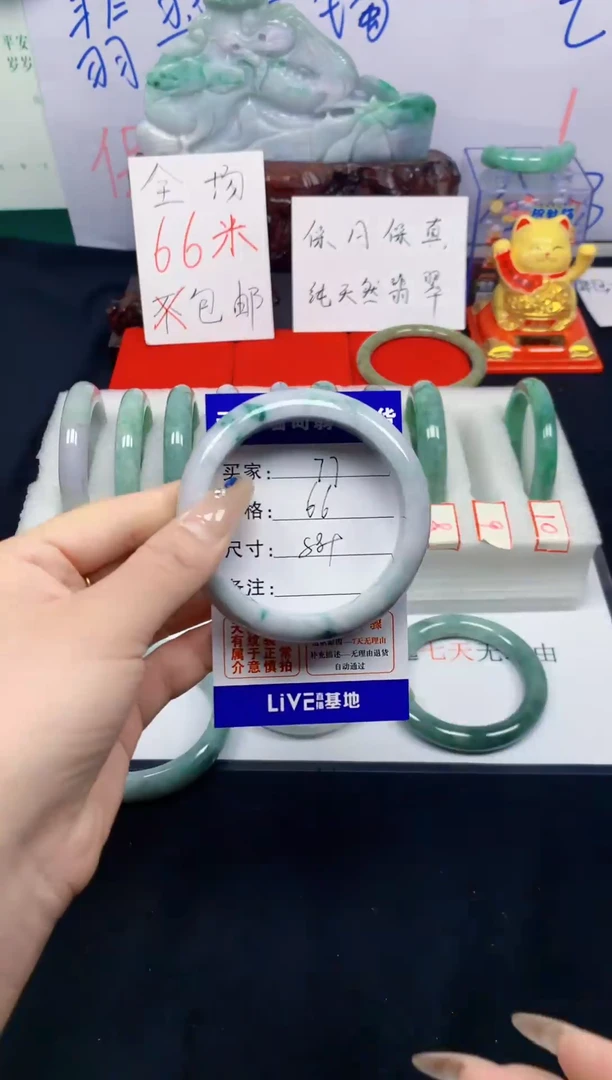 未镶嵌手镯翡翠77