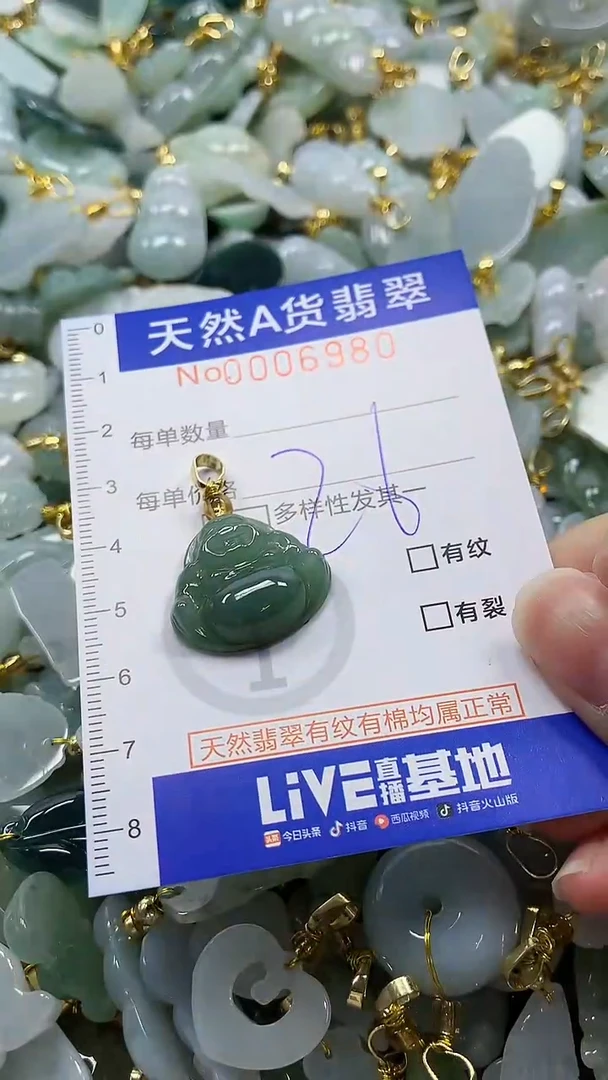 颈饰未镶嵌翡翠纯天然a货翡翠