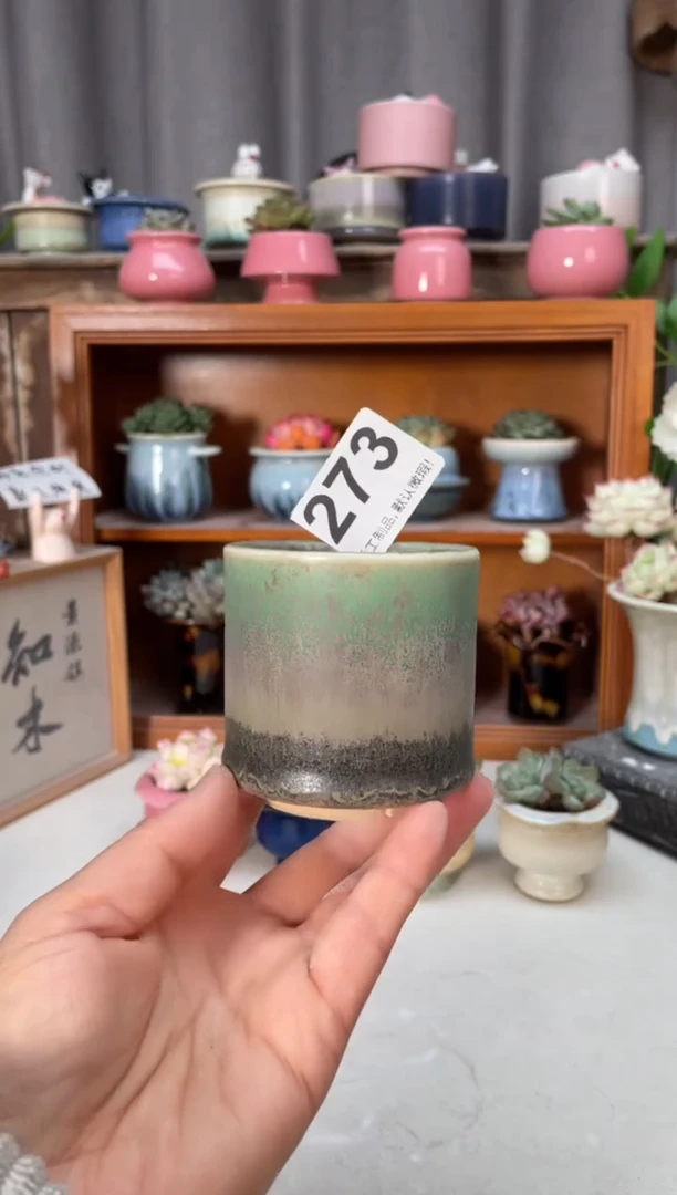 瓷片273小芳花盆直播编号