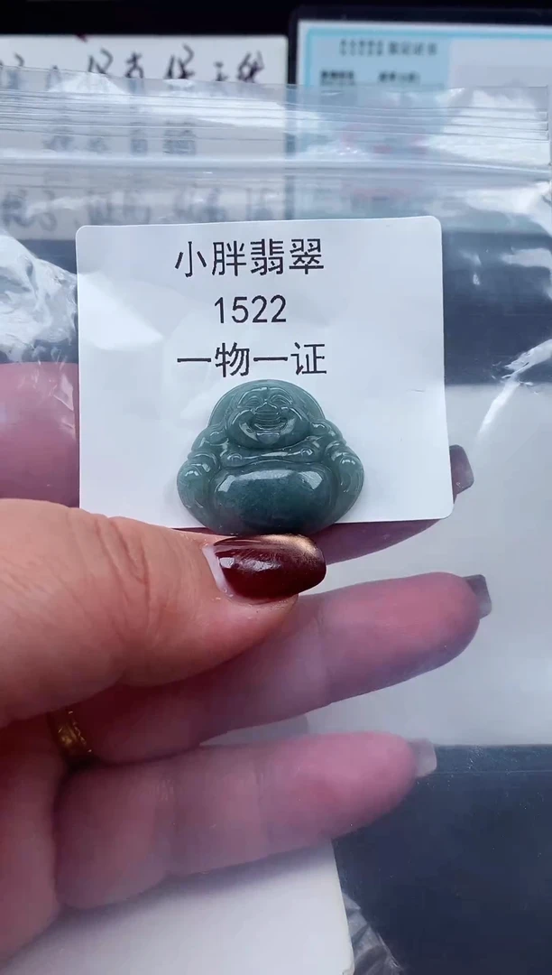 颈饰未镶嵌翡翠缅甸天然A货翡翠1522