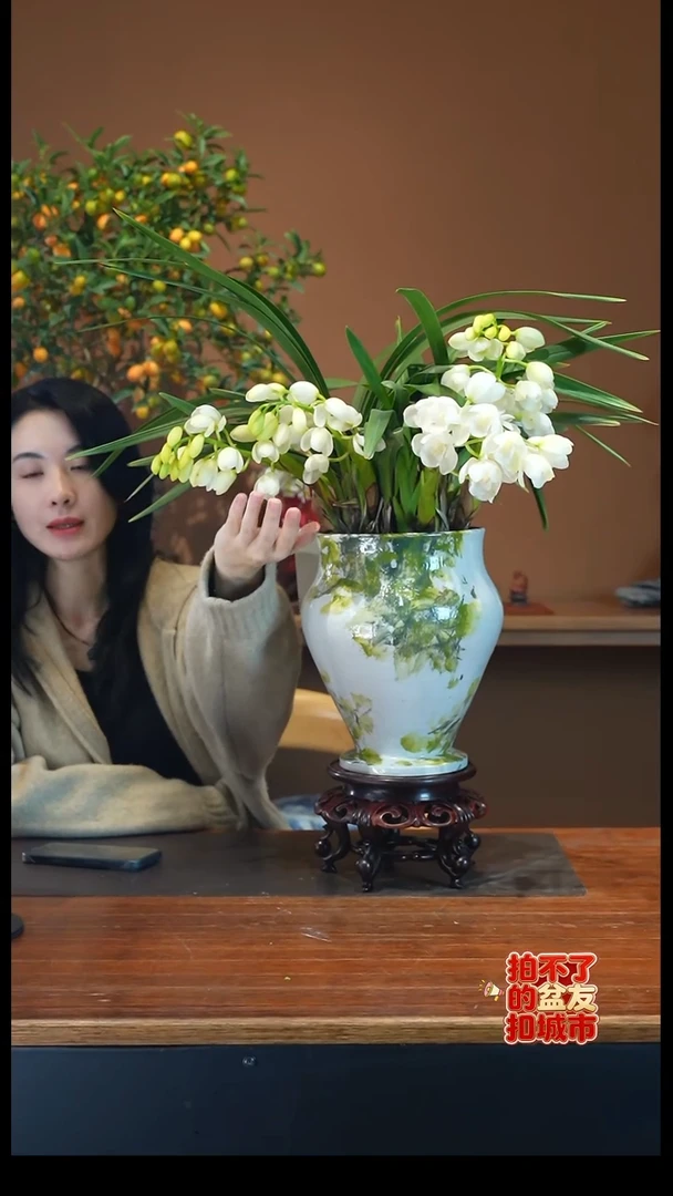 全部花朵玉兔白绿盆