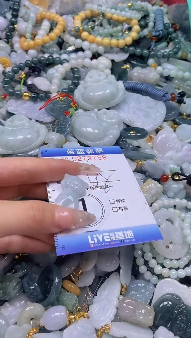 翡翠未镶嵌颈饰闪购0273759