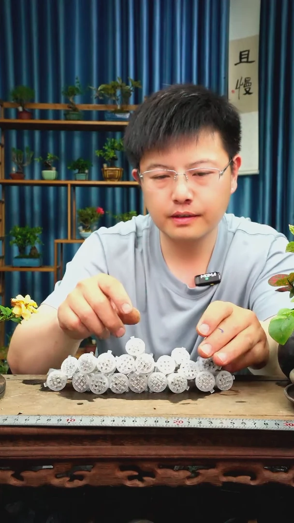 无花朵肥盒带好康多肥20个