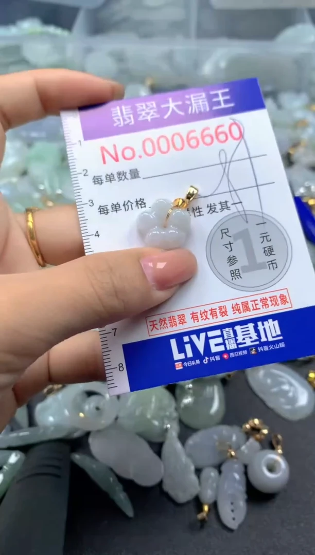 颈饰未镶嵌翡翠6660