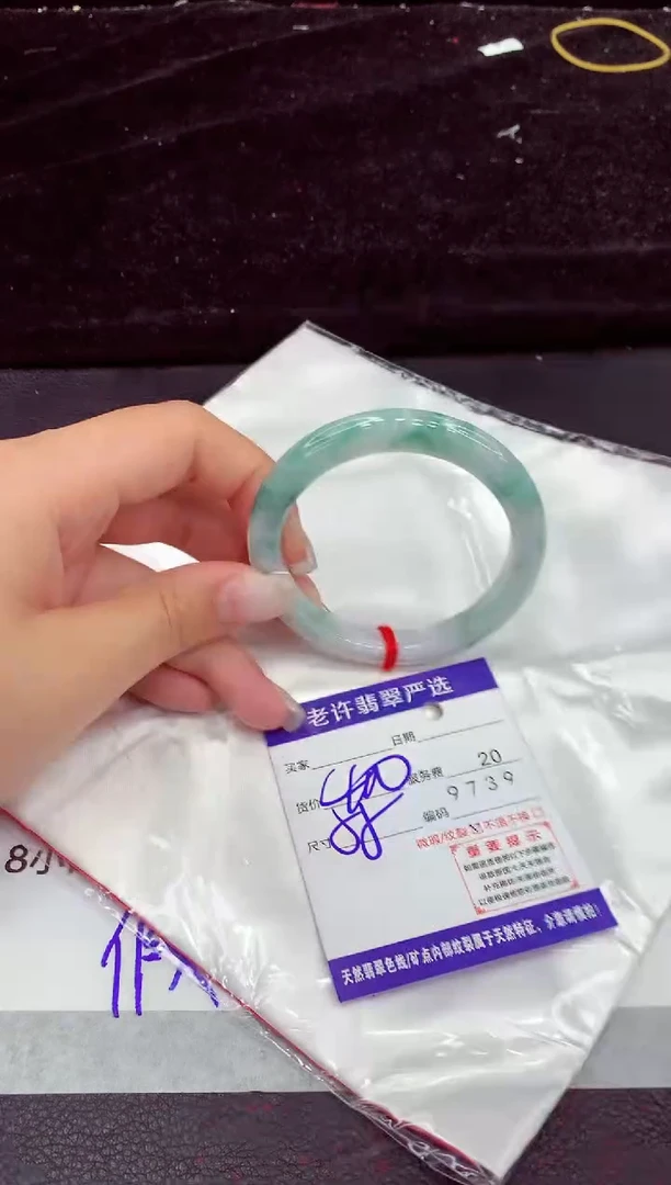 未镶嵌手镯翡翠1