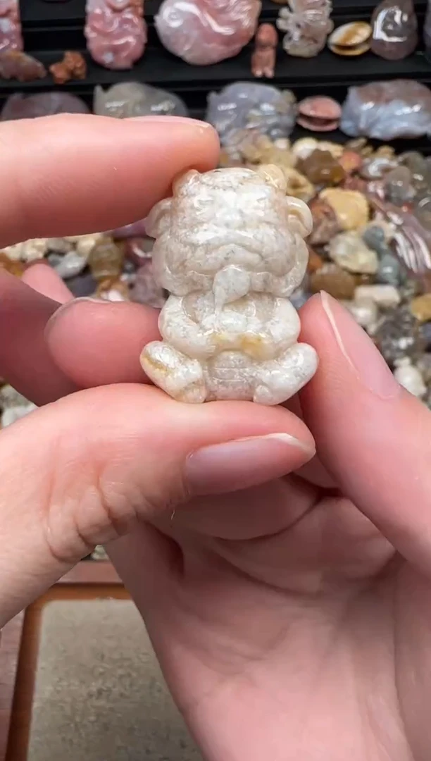 颈饰未镶嵌硅化珊瑚（珊瑚玉）509