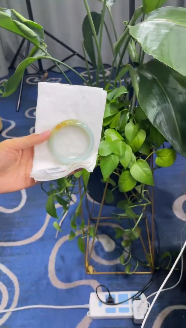 未镶嵌手镯翡翠6562