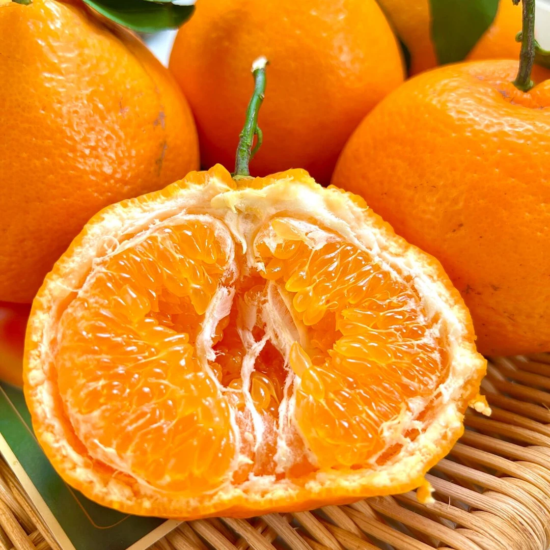 【顺丰包邮】四川正宗春见耙耙柑新鲜水果橘子