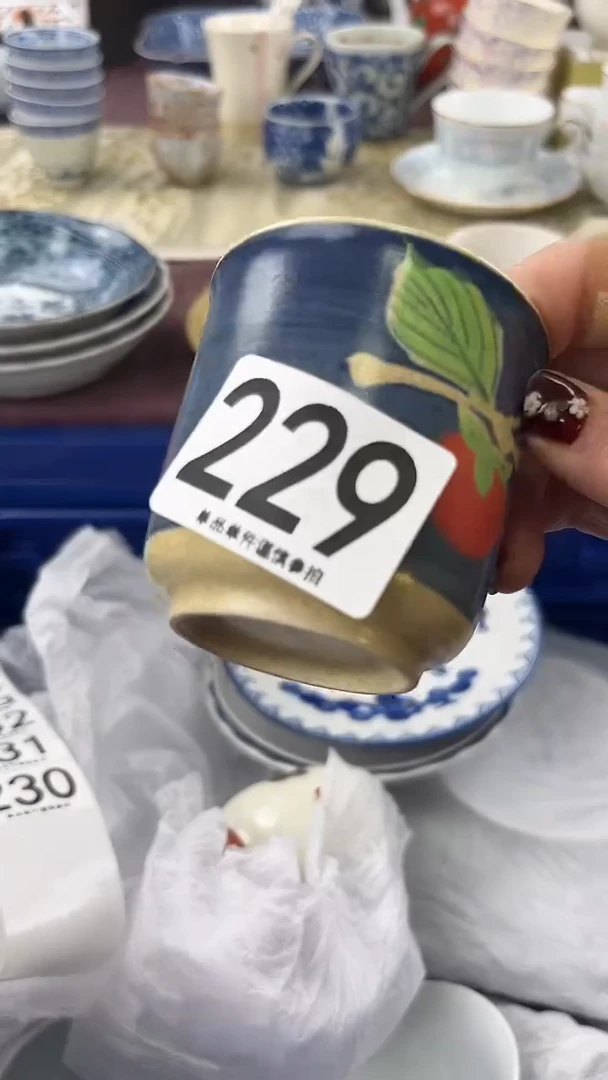 瓷片贝**乔229