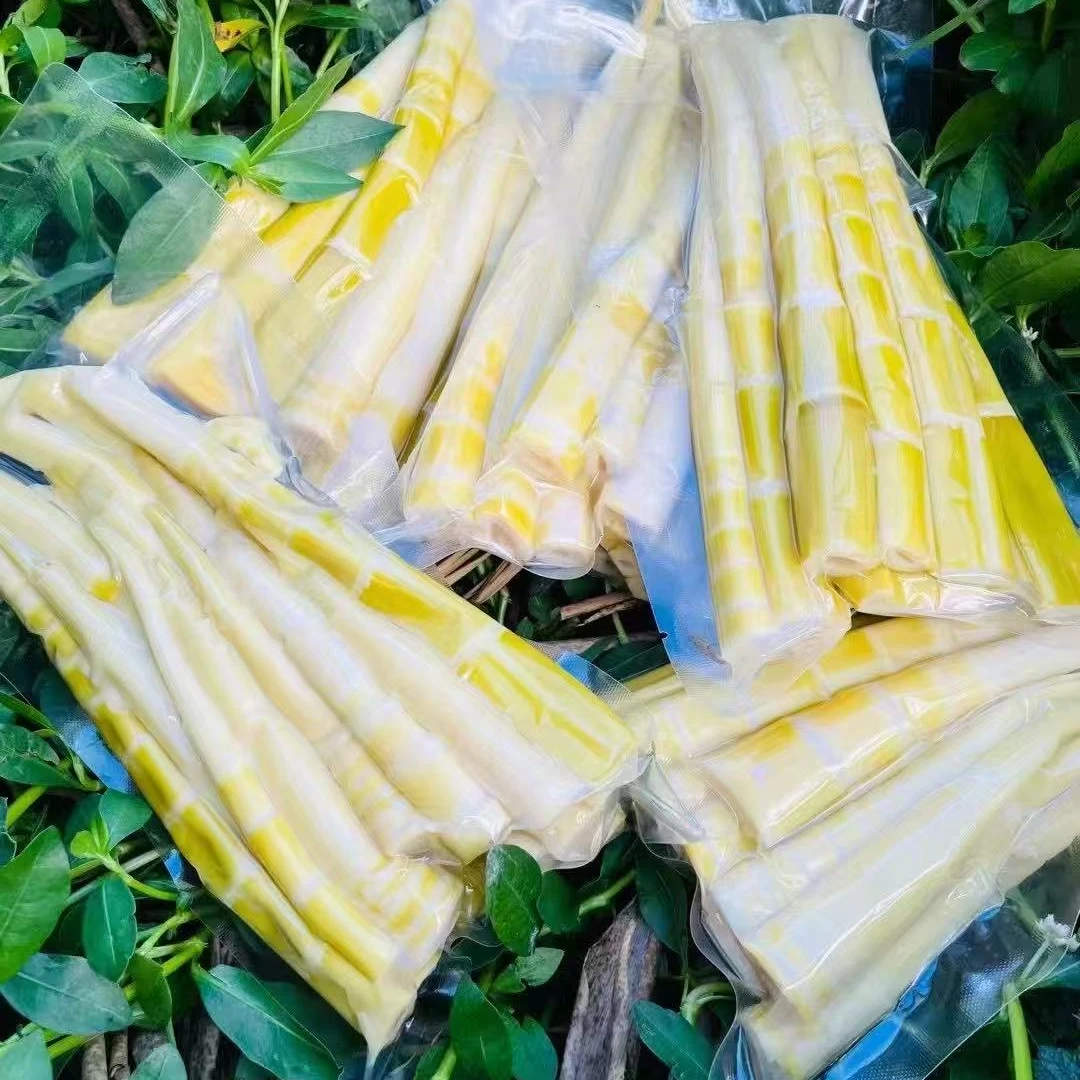 清水新鲜小野笋脆笋尖火锅春笋真空袋装批发500g包邮