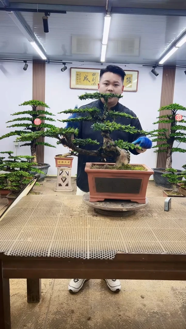 无花朵一物一拍，所见即所得