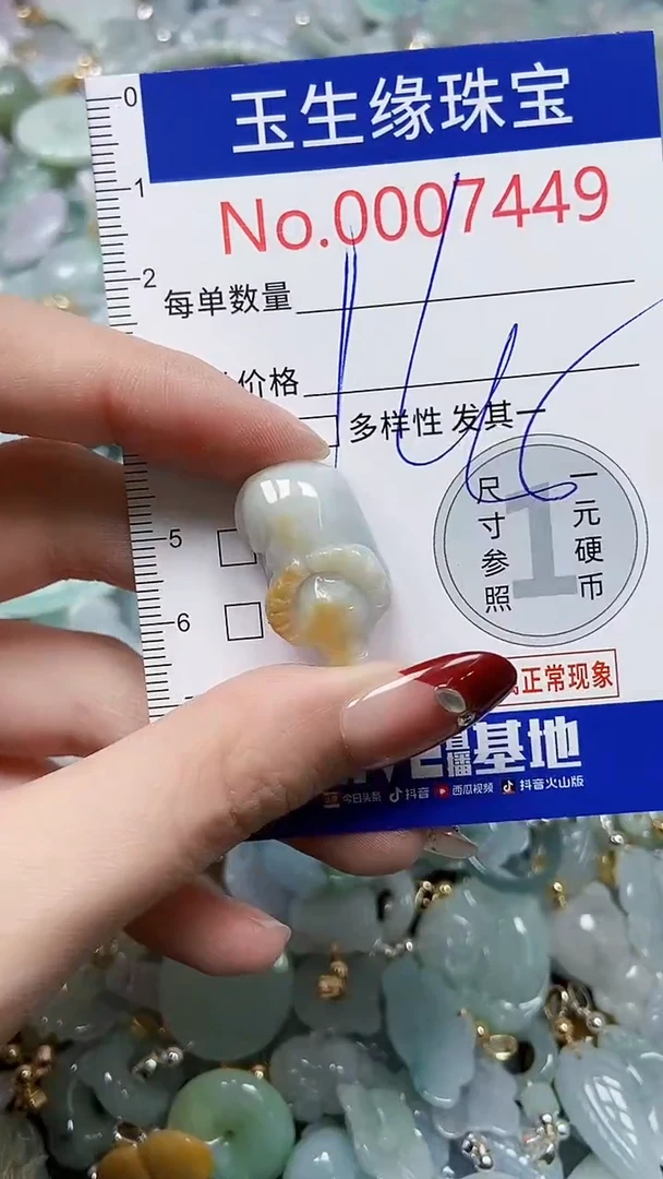 【闪购商品】翡翠颈饰未镶嵌闪购00007449