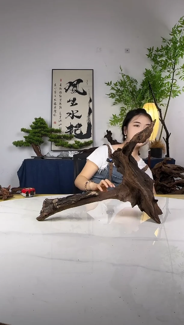 Y*拍这个定向编号64