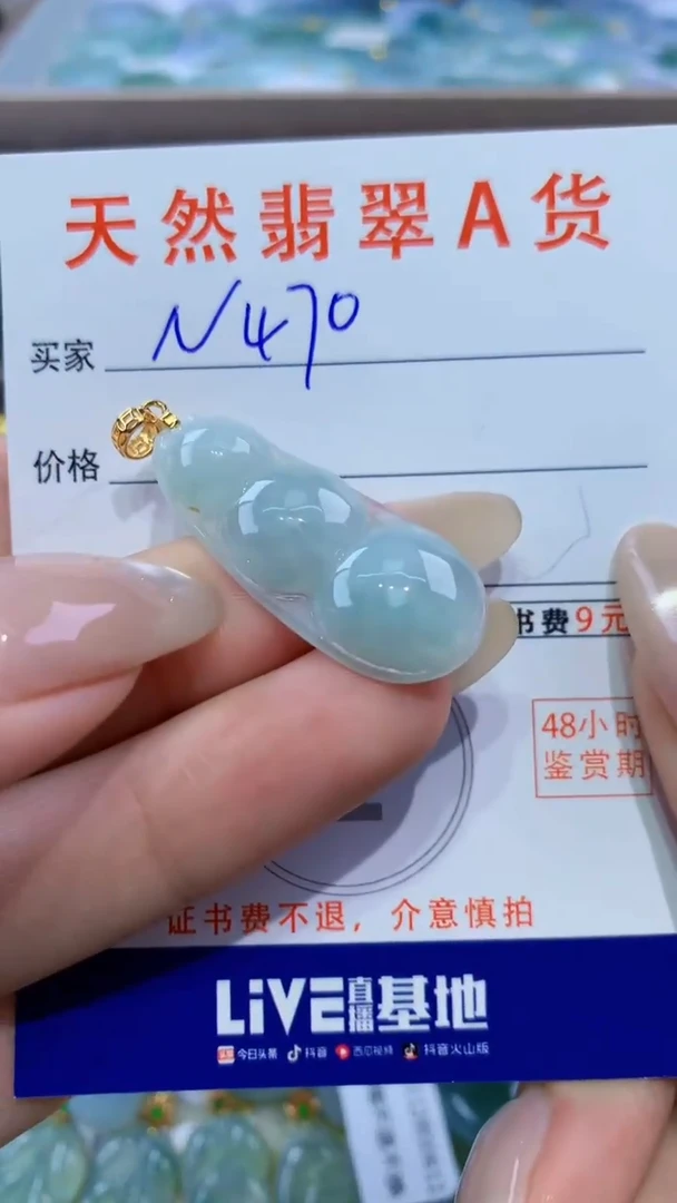 颈饰未镶嵌翡翠天然翡翠A货挂件