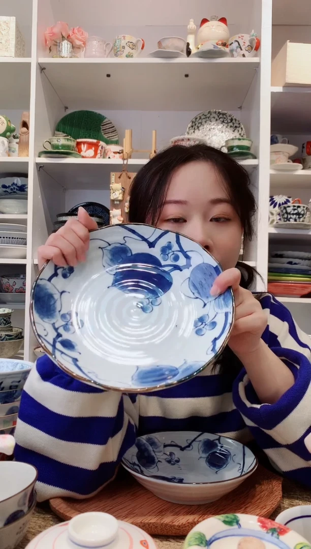 陶瓷【到手两支】美浓烧山归来大号盘22cm