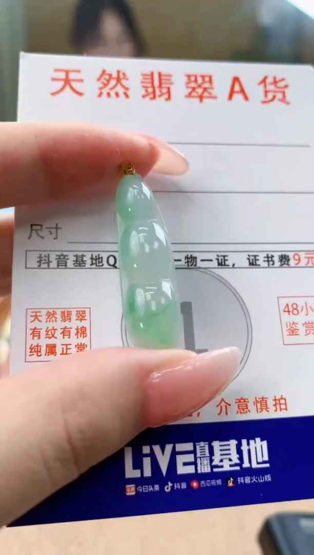 颈饰未镶嵌翡翠天然A货翡翠挂件