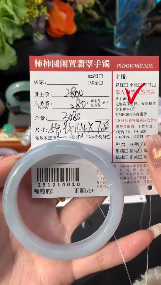 未镶嵌手镯翡翠姐姐251214010