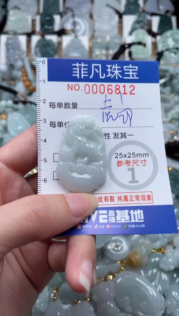 翡翠未镶嵌颈饰00..6812