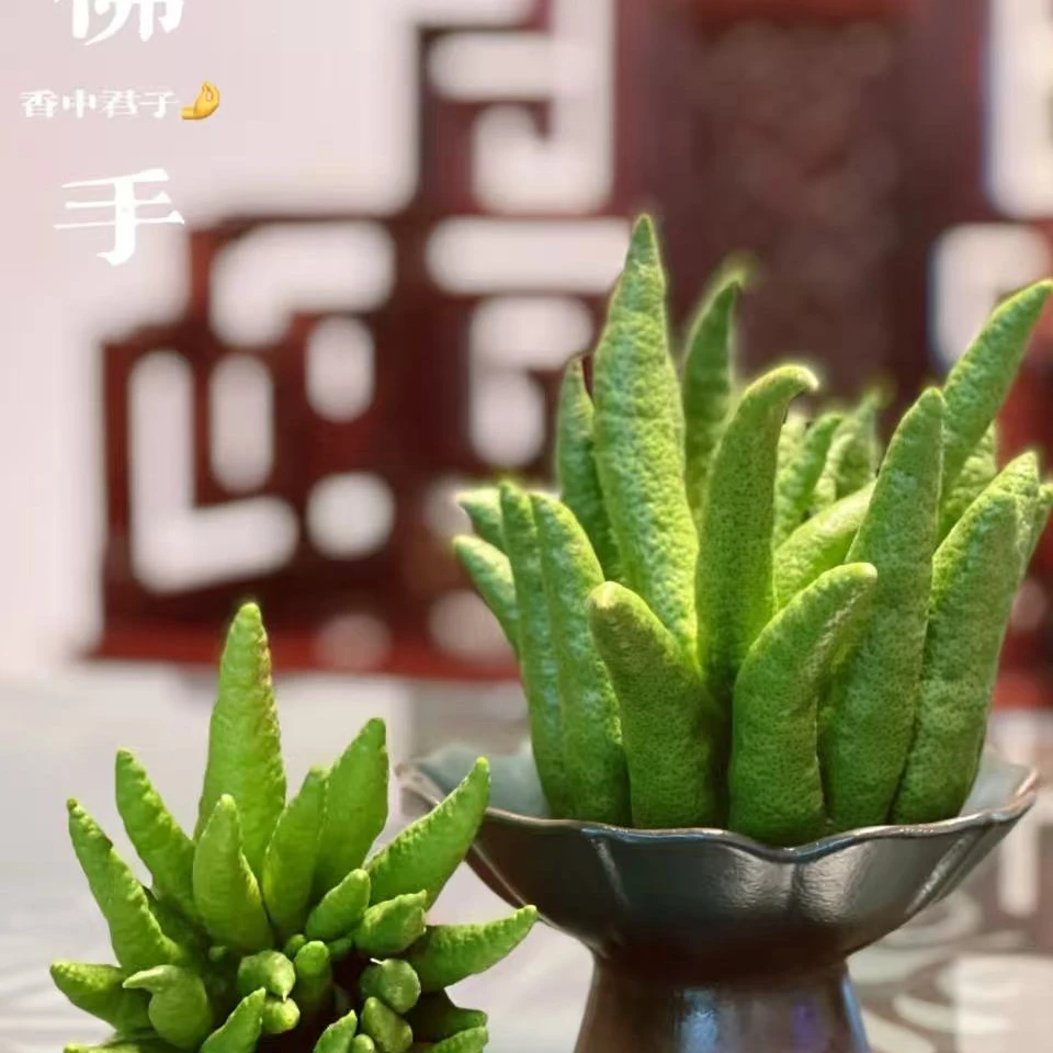 【超值福利】【总重1.2-1.6斤】佛手柑买一送一造型随机天然清香摆件