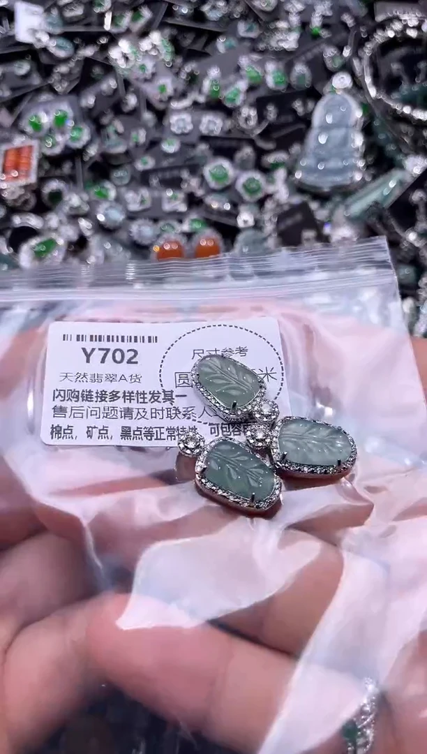 翡翠未镶嵌颈饰Y702多样性发其一