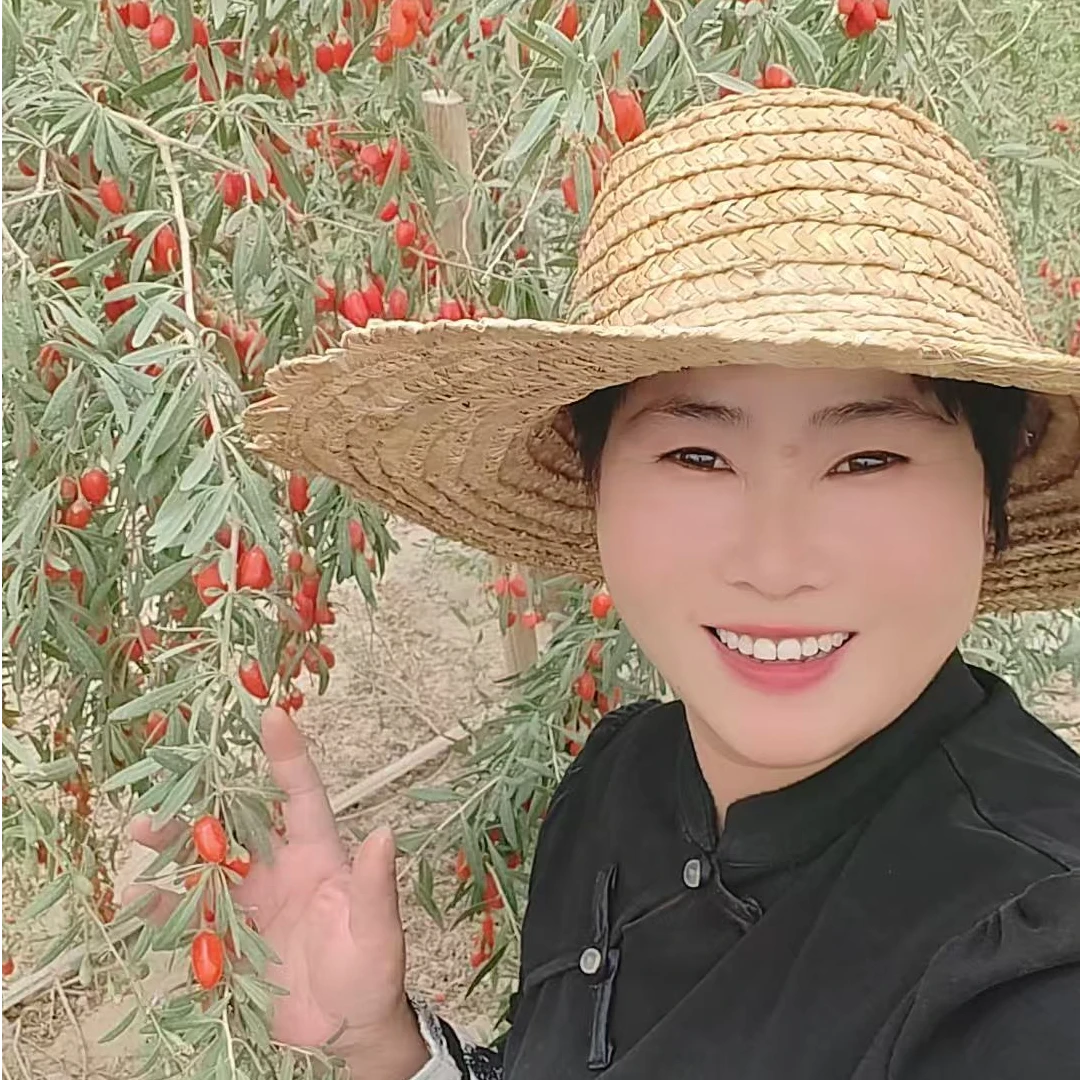 新疆特产 头茬红枸杞果王1斤2斤装（送一包灰枣）产地直发包邮