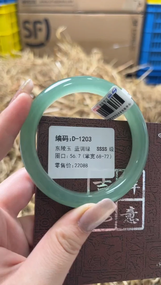 未镶嵌手镯石英质玉D-1203