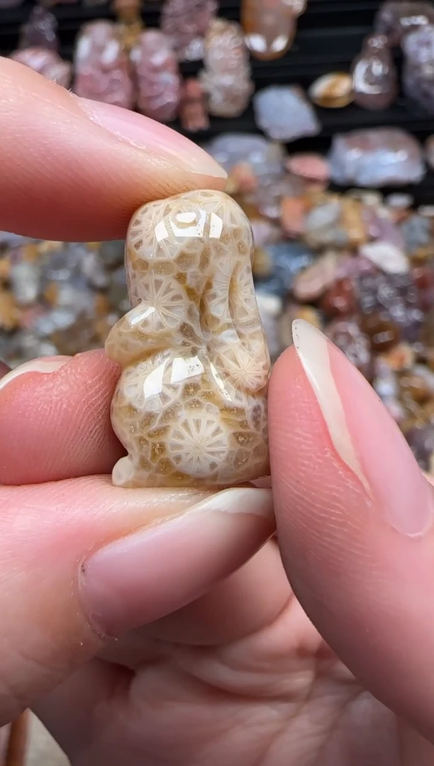 颈饰未镶嵌硅化珊瑚（珊瑚玉）920