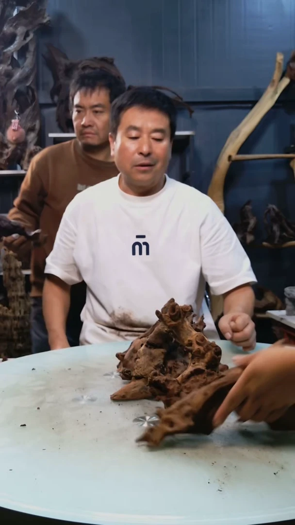 569清香阁清香阁清香阁