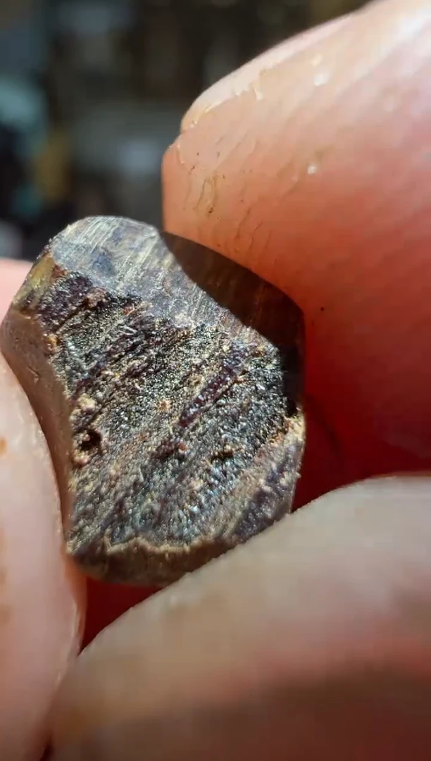 沉香碎屑沉香惠安系0.1克